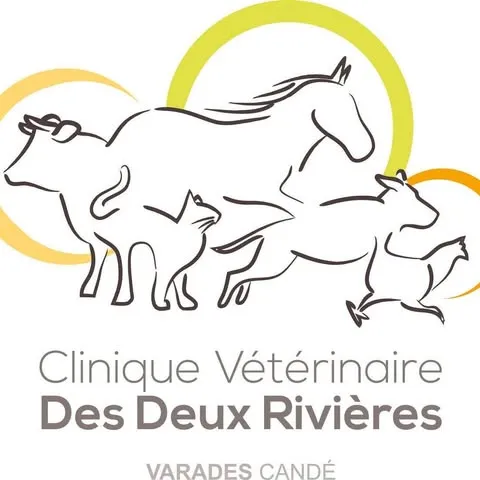 SELARL CLINIQUE VETERINAIRE DES DEUX RIVIERES
