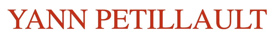 YANN PETILLAULT - ART CERAMISTE