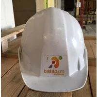 FORMATION INSERTION DEVELOPPEMENT DES RESSOURCES HUMAINES