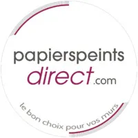 PAPIERSPEINTSDIRECT.COM