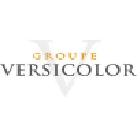 VERSICOLOR PARTNERS (VERSICOLOR PARTNERS)