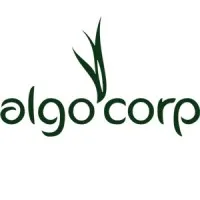 ALGOCORP (ALGOCORP)