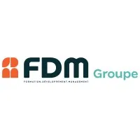 FDM GROUPE (FDM CONSULTANTS)
