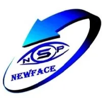 NEWFACE SECURITE PRIVEE (N.S.P.)