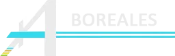 AMBULANCES BOREALES (A.B)