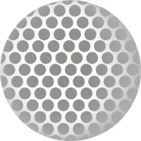 CAPSULARIS