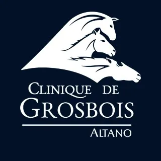 CLINIQUE VETERINAIRE DE GROSBOIS