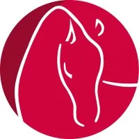 FS MEDIAPROD (FRANCE SIRE)