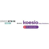 SERVICES NETWORK PAIE