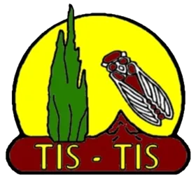 D.T.M.S DIFFUSION TEXTILES M.S PERE ET FILS (TIS-TIS)