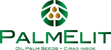 PALMELIT SAS