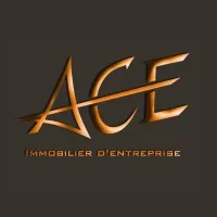 ACE IMMOBILIER D'ENTREPRISE AUDIT CONSEIL EXPERTISE (ACE IMMOBILIER D'ENTREPRISE)