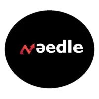 NEEDLE