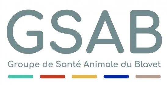 SAS DES VETERINAIRES BRETAGNE SUD