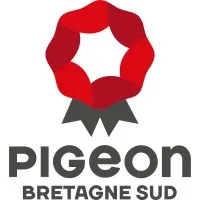 PIGEON BRETAGNE SUD
