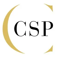 CSP FRANCE CREATEUR DE STRATEGIES PERFORMANTES (CSP FRANCE)