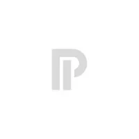 PROFILE INVESTMENT (UFG ICC)