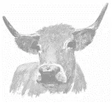 LA FERME DE LA MARSAUDERIE