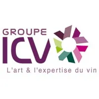 GIE ICV - VVS