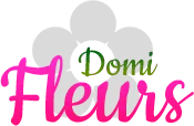 DOMINIQUE