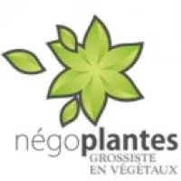NEGOPLANTES