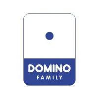 DOMINO SERVICES 13
