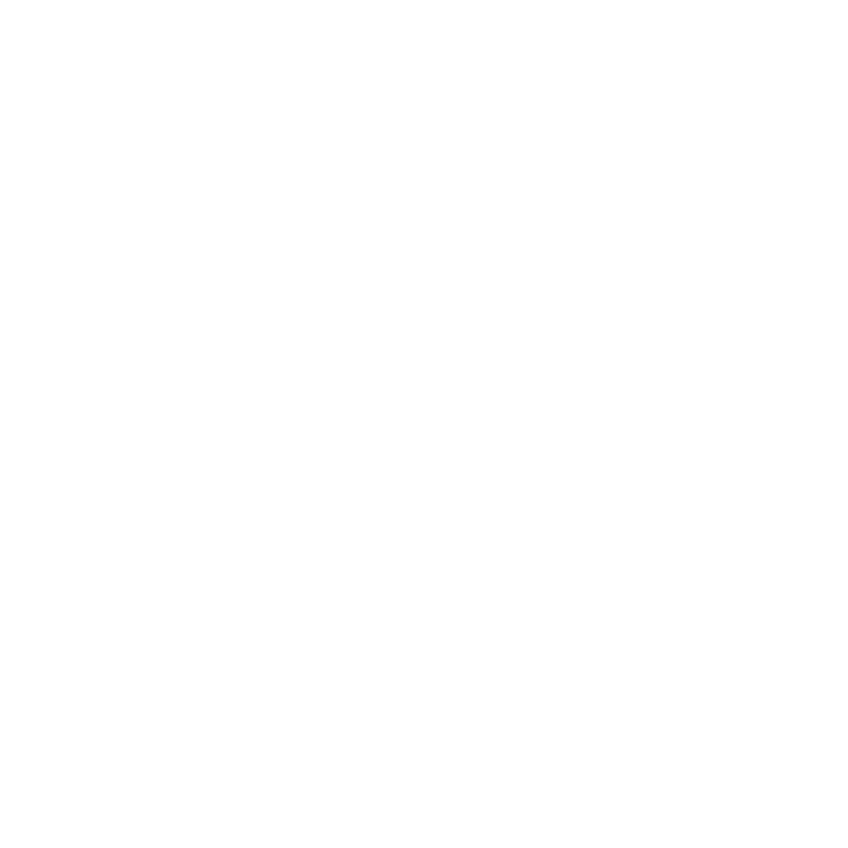 BLACKOUT CONCEPT (BLACKOUT CONCEPT)