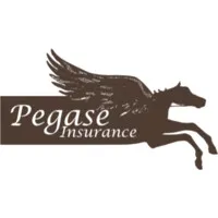 PEGASE INSURANCE
