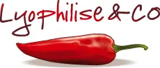 SAVEURS & LOGISTIQUE (LYOPHILISE.FR)