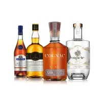 M.T.E. INTERNATIONAL (M.T.E.I.)