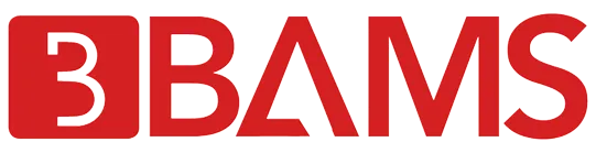 BAM SERVICES (BAMS)