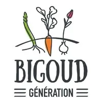 BIGOUD GENERATION (BIGOUD SARL)