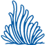 BLUE CORAL