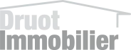AGENCE IMMOBILIERE BENOIT DRUOT