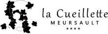 GP