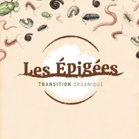 LES EPIGEES
