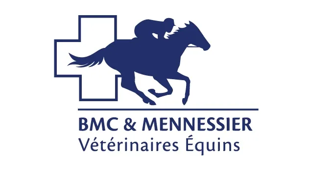 MC VEIGH CLEMENTS & MENNESSIER