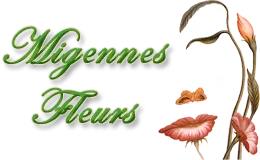 ISIS (MIGENNES FLEURS)