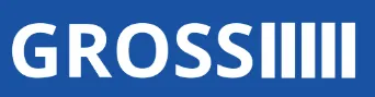 GROSS ARMOIRES DE CONNEXION