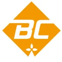 BREIZH SPORT INNOVATION (BSI)