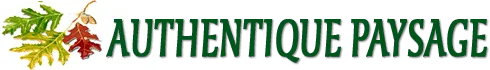 DE DIOS FREDERIC