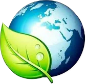 A.F.M. SERVICES