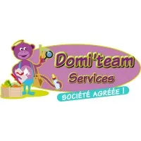 DOMI'TEAM SERVICES (DOMI'TEAM SERVICES)