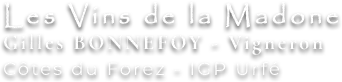 LES VINS DE LA MADONE