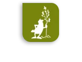 HALATTE PAYSAGES