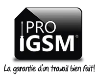 PRO GSM