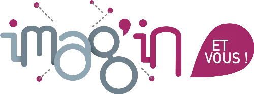 SOC TRANSPORTS DE CALAIS ET EXTENSION (STCE)