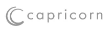 CAPRICORN AUTOMOTIVE