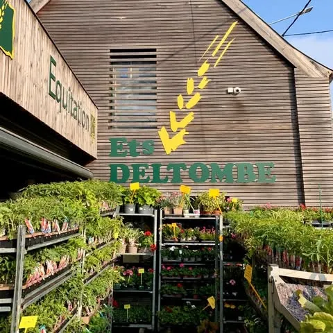 ETS DELTOMBE