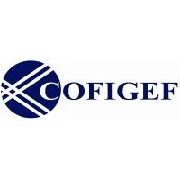 CONTROL ORGANI FISCAL GEST ETUDE FINANCI (COFIGEF)